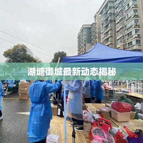 湖塘御城最新动态揭秘