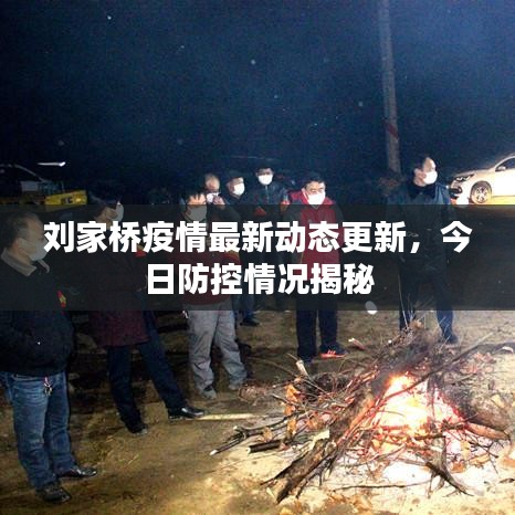 刘家桥疫情最新动态更新,今日防控情况揭秘