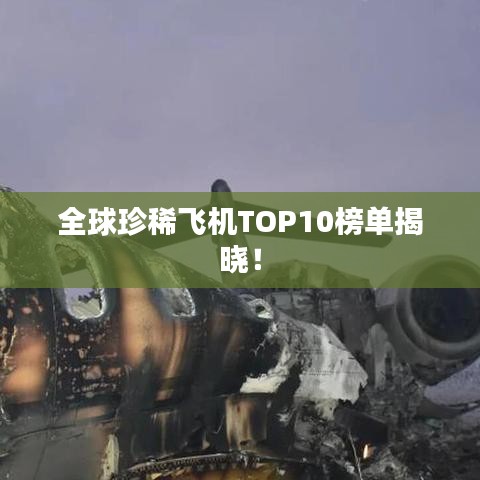 全球珍稀飞机TOP10榜单揭晓!