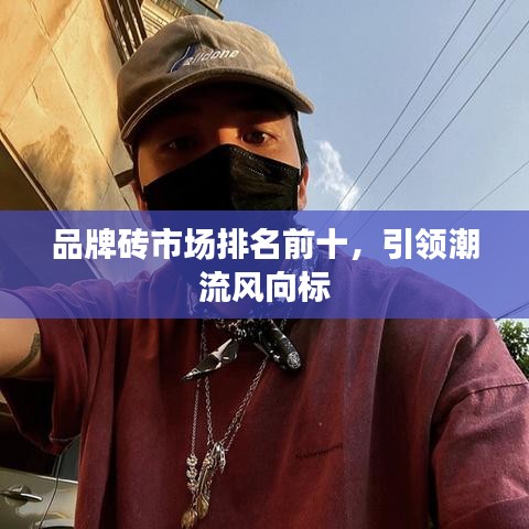 品牌砖市场排名前十，引领潮流风向标