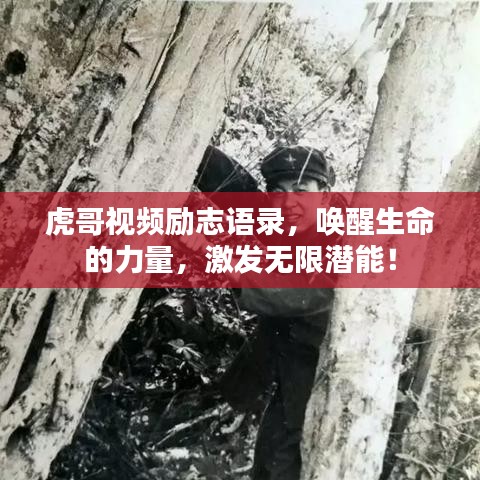 虎哥视频励志语录,唤醒生命的力量,激发无限潜能!