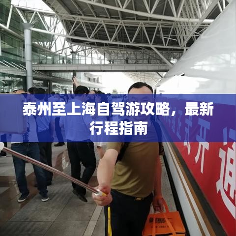 泰州至上海自驾游攻略，最新行程指南