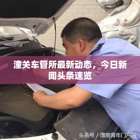 潼关车管所最新动态，今日新闻头条速览