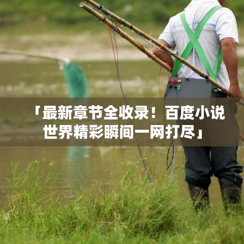 「最新章节全收录！百度小说世界精彩瞬间一网打尽」