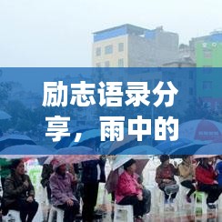 励志语录分享，雨中的坚持与希望，鼓舞人心瞬间