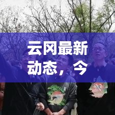 云冈最新动态,今日消息一览