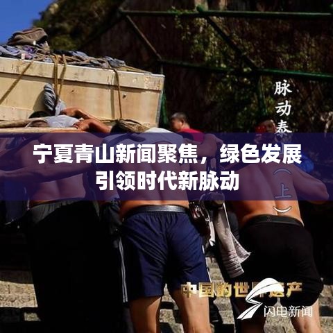 宁夏青山新闻聚焦,绿色发展引领时代新脉动