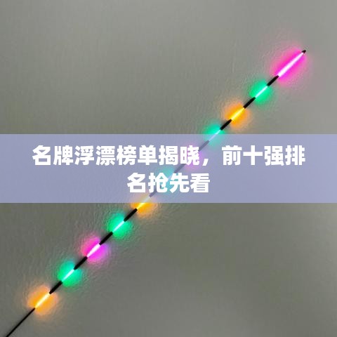名牌浮漂榜单揭晓,前十强排名抢先看