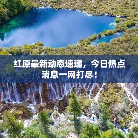 红原最新动态速递,今日热点消息一网打尽!