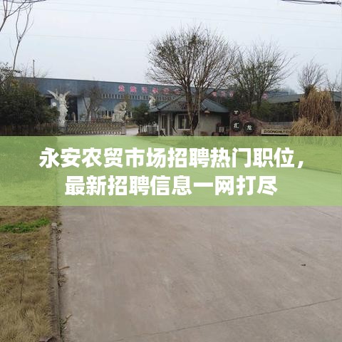 永安农贸市场招聘热门职位,最新招聘信息一网打尽
