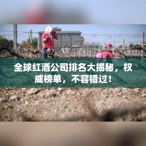 全球红酒公司排名大揭秘，权威榜单，不容错过！