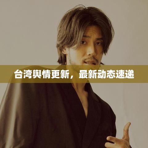 台湾舆情更新，最新动态速递