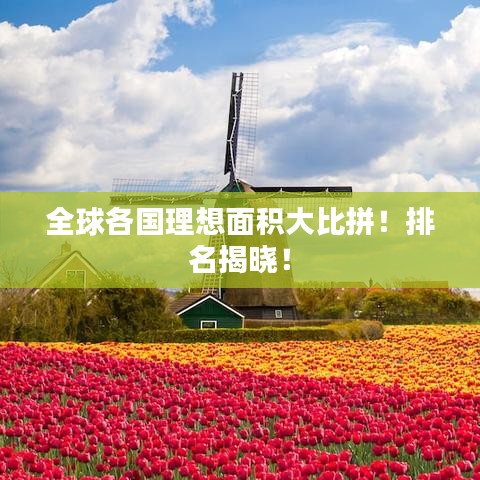 全球各国理想面积大比拼！排名揭晓！