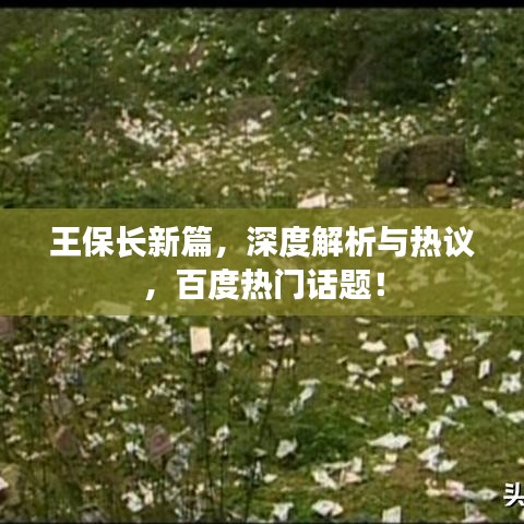 王保长新篇,深度解析与热议,百度热门话题!