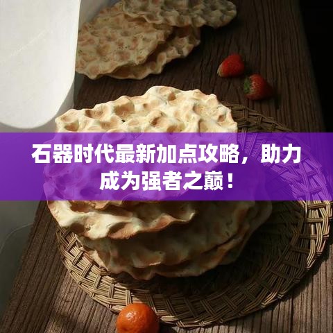 石器时代最新加点攻略,助力成为强者之巅!