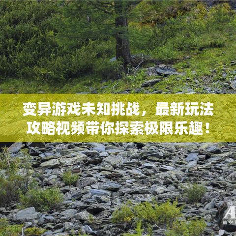 变异游戏未知挑战,最新玩法攻略视频带你探索极限乐趣!