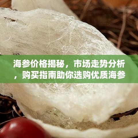 怀真抱素 第4页