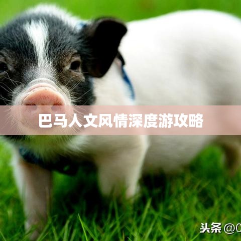 巴马人文风情深度游攻略