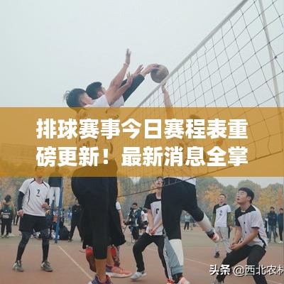 排球赛事今日赛程表重磅更新!最新消息全掌握