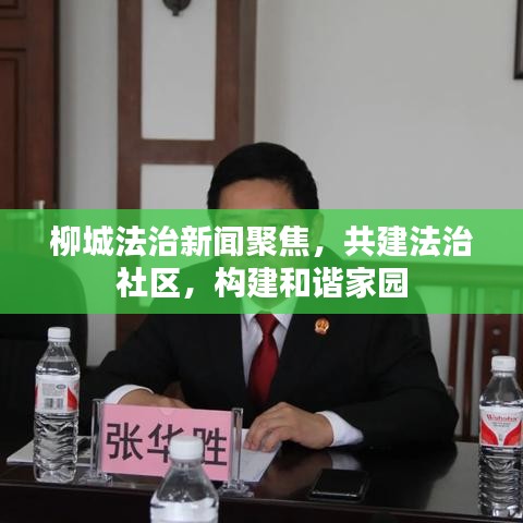 柳城法治新闻聚焦,共建法治社区,构建和谐家园