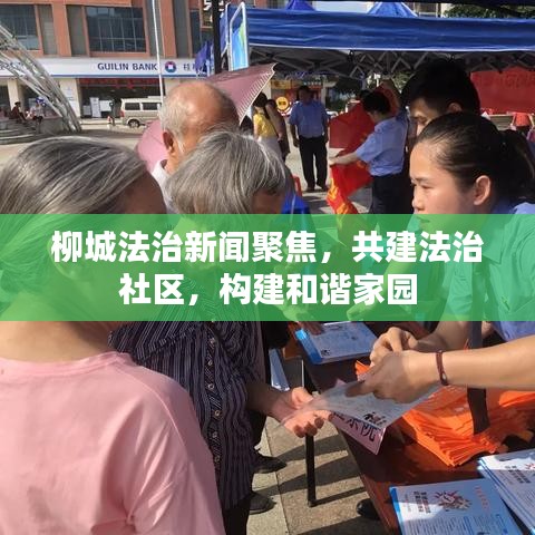 柳城法治新闻聚焦,共建法治社区,构建和谐家园