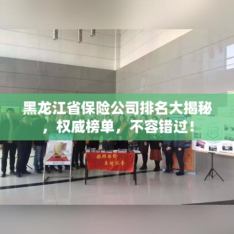 黑龙江省保险公司排名大揭秘,权威榜单,不容错过!