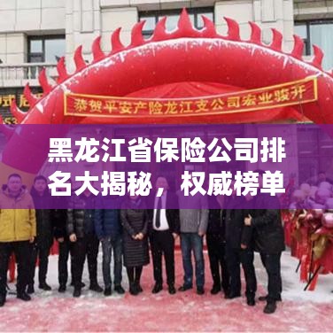 黑龙江省保险公司排名大揭秘,权威榜单,不容错过!