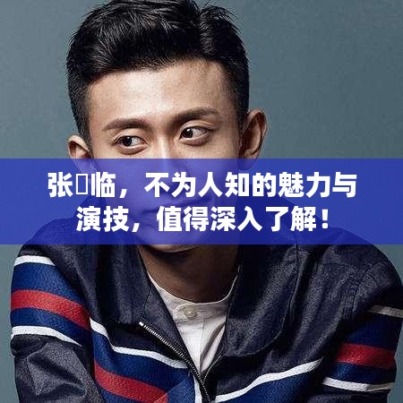 张晞临,不为人知的魅力与演技,值得深入了解!