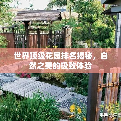 鸟吏鳖官 第4页