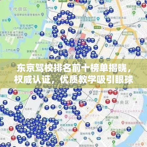 东京驾校排名前十榜单揭晓,权威认证,优质教学吸引眼球!