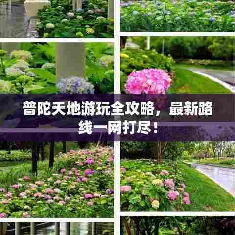 普陀天地游玩全攻略,最新路线一网打尽!