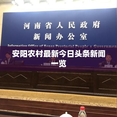 安阳农村最新今日头条新闻一览
