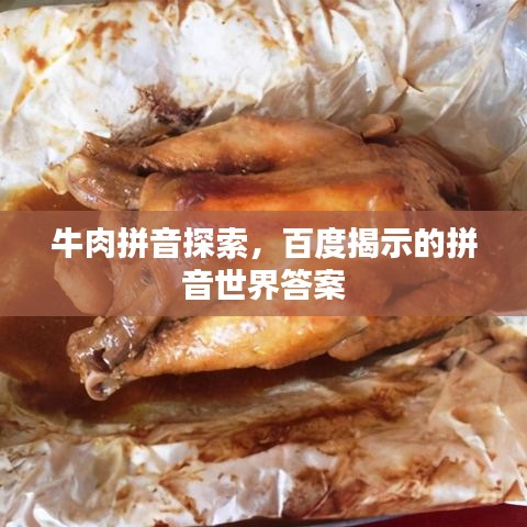 牛肉拼音探索，百度揭示的拼音世界答案