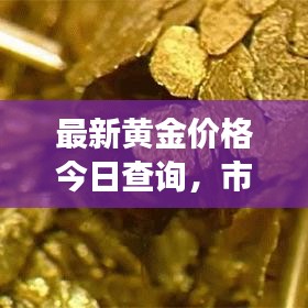 最新黄金价格今日查询,市场动态与趋势深度解析