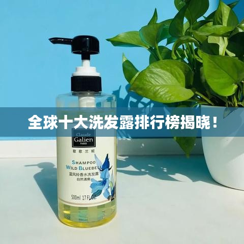 全球十大洗发露排行榜揭晓!