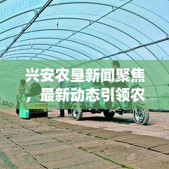 兴安农垦新闻聚焦,最新动态引领农垦事业发展之路