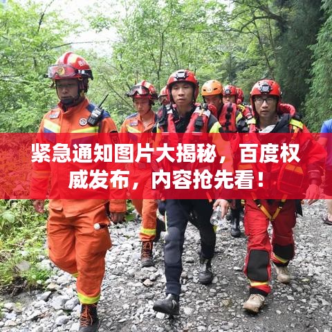 紧急通知图片大揭秘，百度权威发布，内容抢先看！