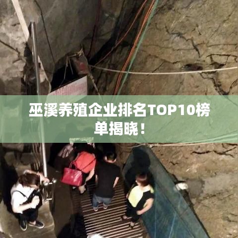 巫溪养殖企业排名TOP10榜单揭晓!