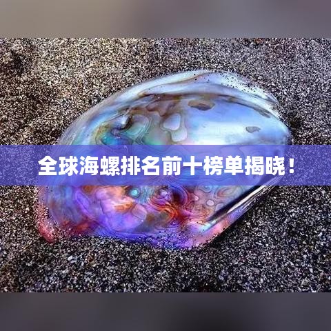 全球海螺排名前十榜单揭晓!