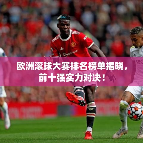 鸡飞狗跳 第4页