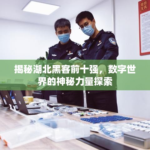 揭秘湖北黑客前十强,数字世界的神秘力量探索