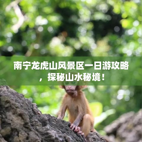 南宁龙虎山风景区一日游攻略,探秘山水秘境!