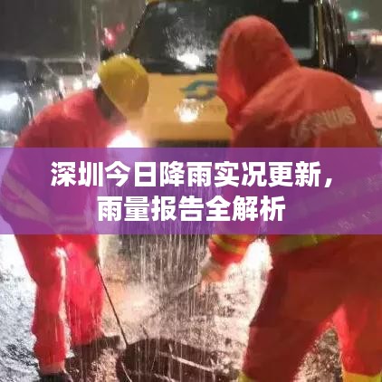 深圳今日降雨实况更新,雨量报告全解析