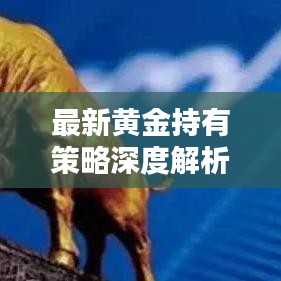 最新黄金持有策略深度解析