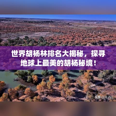 世界胡杨林排名大揭秘，探寻地球上最美的胡杨秘境！