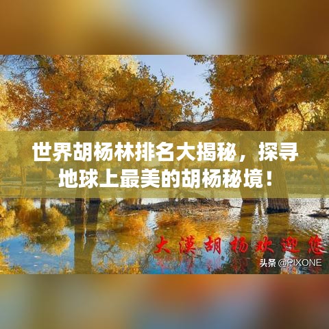 世界胡杨林排名大揭秘,探寻地球上最美的胡杨秘境!
