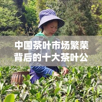 中国茶叶市场繁荣背后的十大茶叶公司解析,脱颖而出,引领行业风潮!