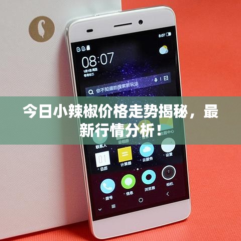 今日小辣椒价格走势揭秘,最新行情分析!