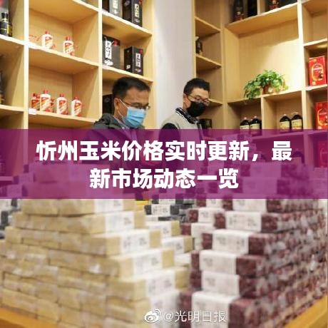 忻州玉米价格实时更新,最新市场动态一览