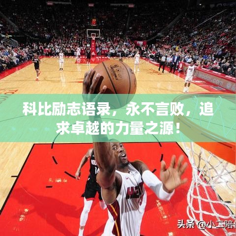 科比励志语录,永不言败,追求卓越的力量之源!